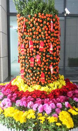 花海花卉穴盤苗